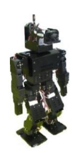 Fig. 1. The robot