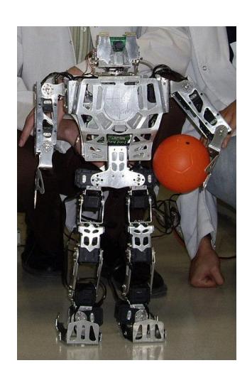 Turco robot