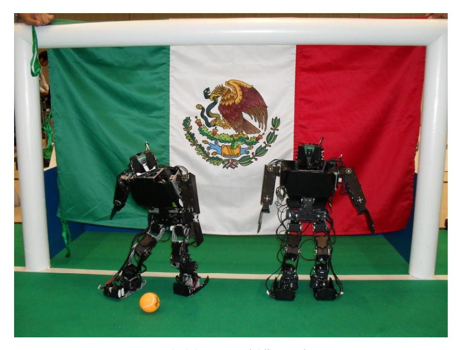 Turco and Oliver Robots