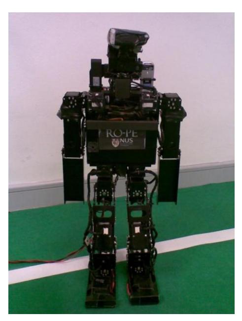 Fig.1. RO-PE-VI in its standing position.