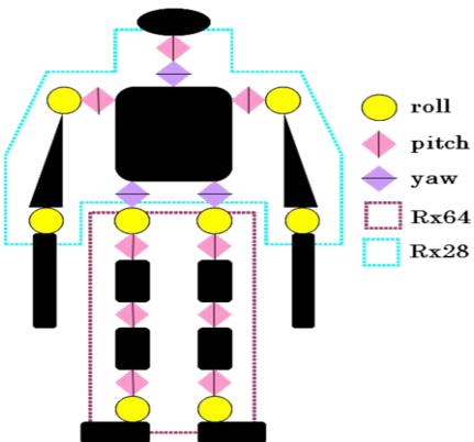 Fig 2. DOF of the robot