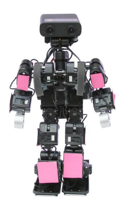 Fig. 1. WF Wolves 2009