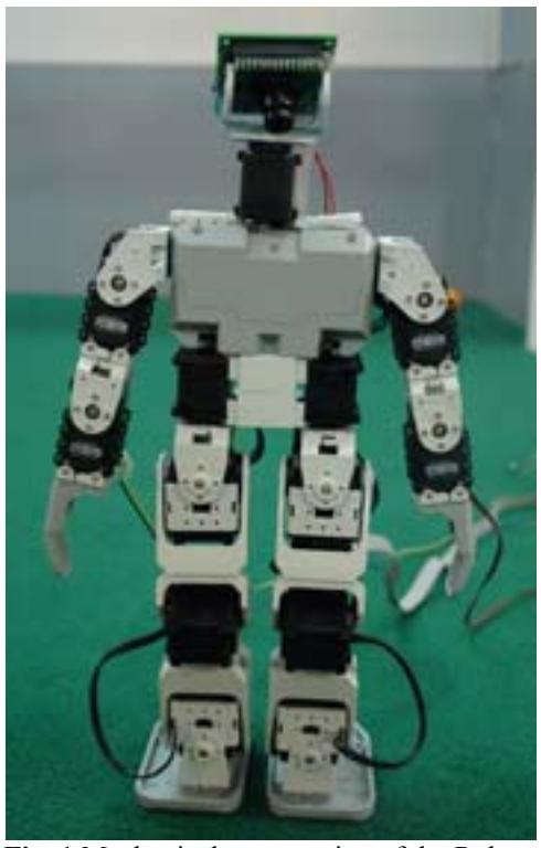 Fig. 1. Mechanical construction of the Robots