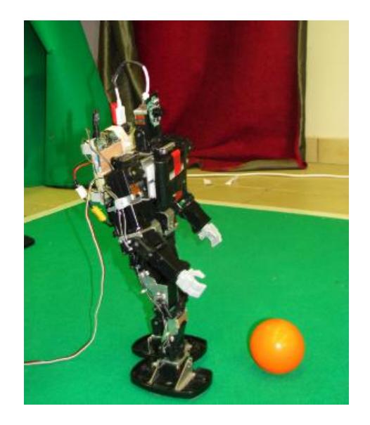 Fig. 1. Picture of our robot