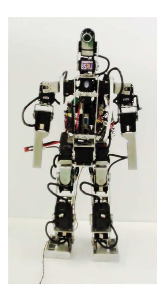 Fig. 1: BSRU robot
