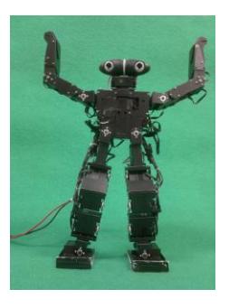 Fig. 2. Structural design for our robot model T1