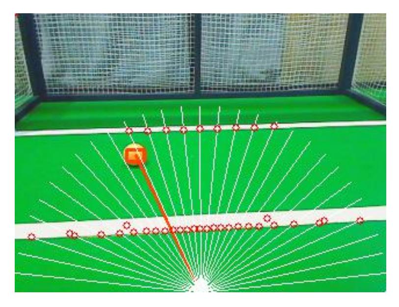 Fig. 5. Detect field line
