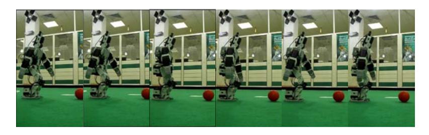 Fig.2. Walking frames.