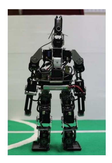Fig. 1. Phoenix Robot