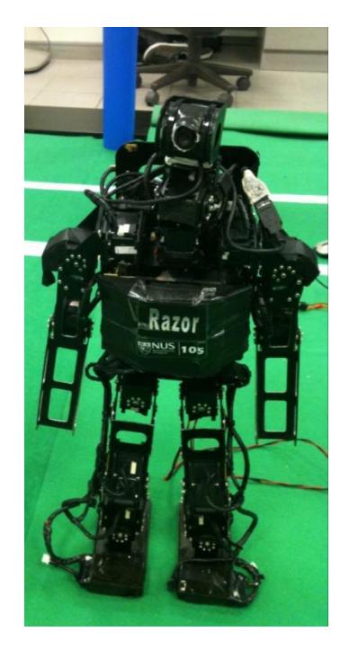 Fig. 1. RO-PE-VI in its standing position