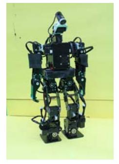 Fig. 1. Whole view of HIWIN MAN