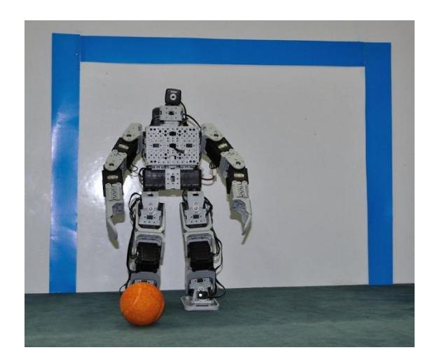 Fig. 1. UURT Humanoid KidSize Robot