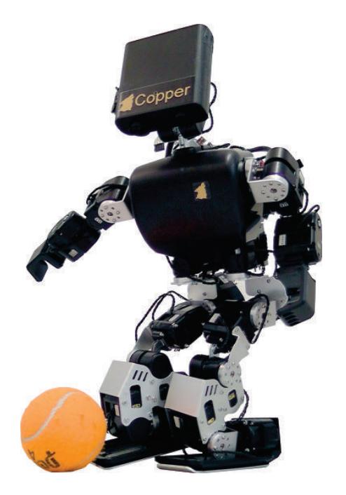 Fig. 1. WF Wolves 2010