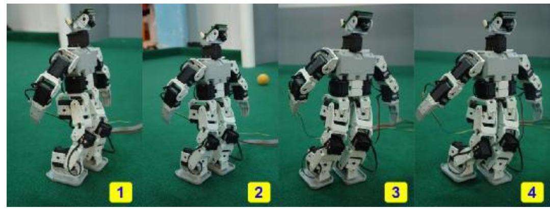 Fig .6. Robot is Kicking (YRA 2009 Humanoid Robot)