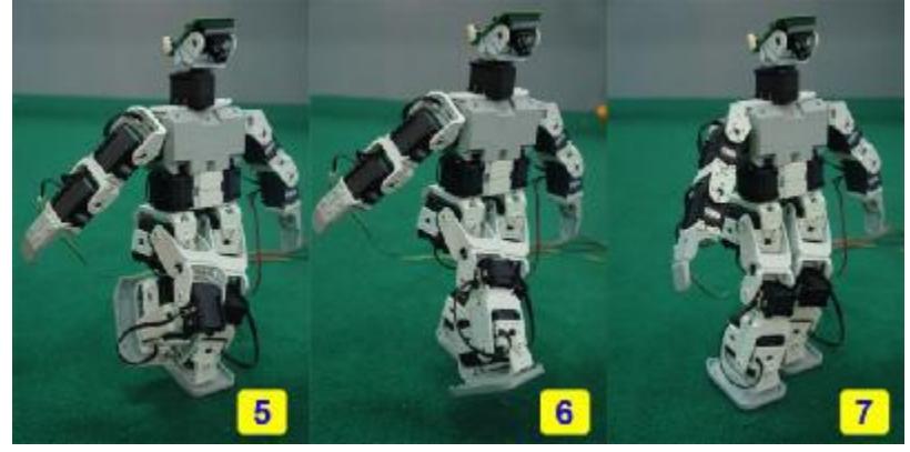 Fig .6. Robot is Kicking (YRA 2009 Humanoid Robot)