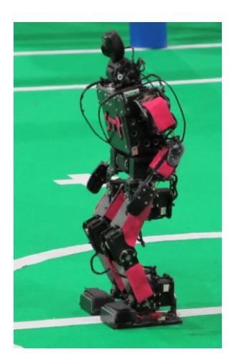 Fig 1. AUTMan Humanoid Kid-Size Robot