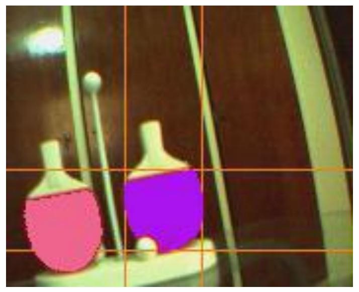 Fig. 4. One frame from camera processed by vision module