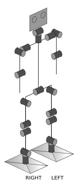 Fig. 1. Prototype of FUmanoids 2012 model (middle/right) and its kinematics (left)
