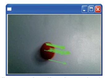 Optical flow: motion direction and velocity components.
