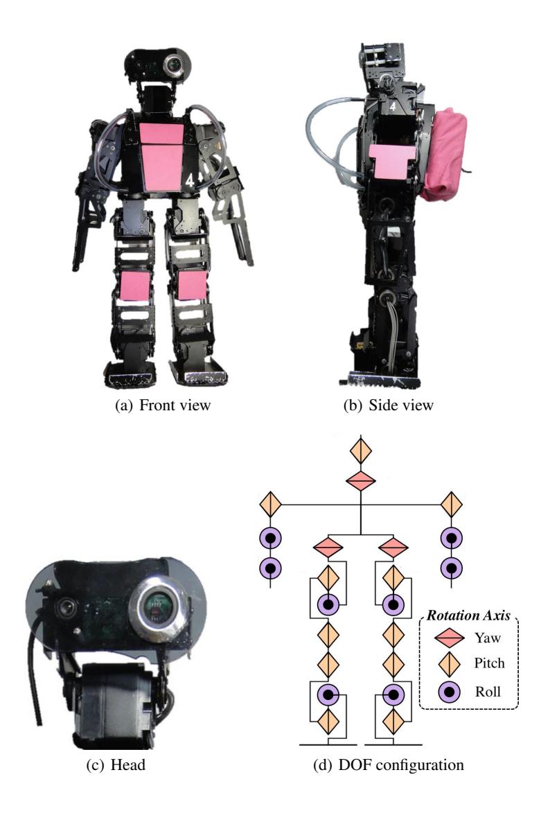 Fig. 1. The VisiON 4G robot: (a) ,(b) and (c) are a front view, a side view, and a head part of our robot, respectively. (d) is a schematic overview of the 22 degrees of freedom actuators.