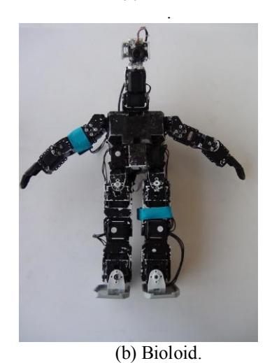 kinematic structure of DARwIN and Bioloid robots.