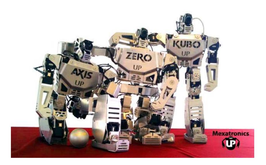 Fig. 1. Mexatronics Humanoid Robots Team