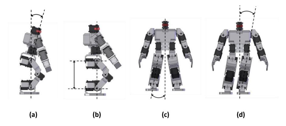 The tilt static offset inclines the centre of gravity to balance the robot (a). The body offset adjust the height of the robot body above the ground (b). The camber offset splays the legs to ensure the robot feet are positioned flat on the floor (c). Swing amplitude controls lateral movement of the robots centre of mass (d).