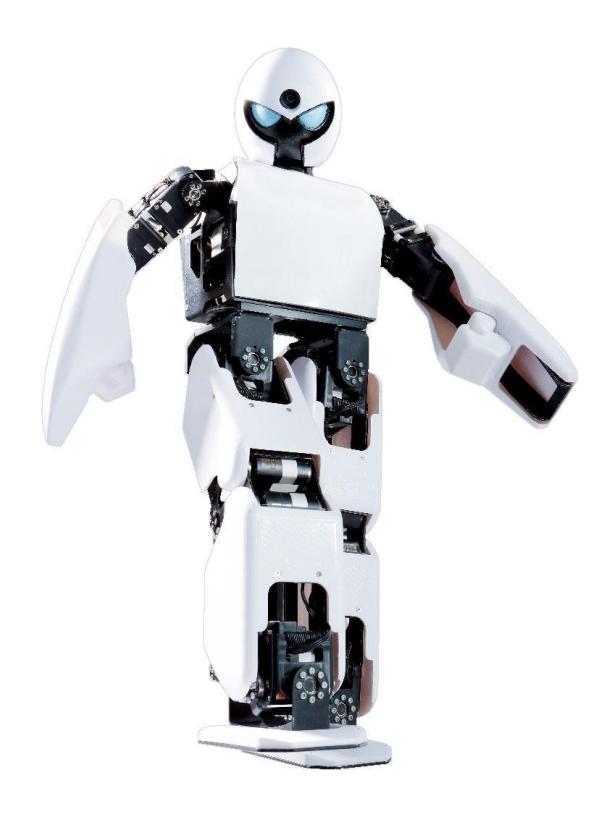 REJr-2012, the latest version Robo-Erectus KidSize.