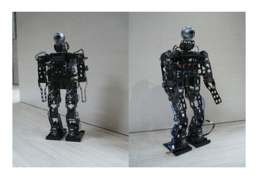 MOS-Strong and MOS-Lite Appearance