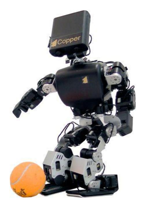 Fig. 1. WF Wolves 2011