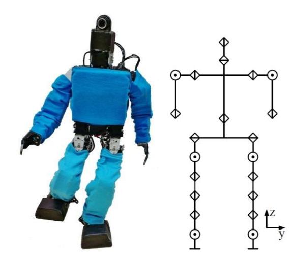 **3. Figure 1.** AUTMan 