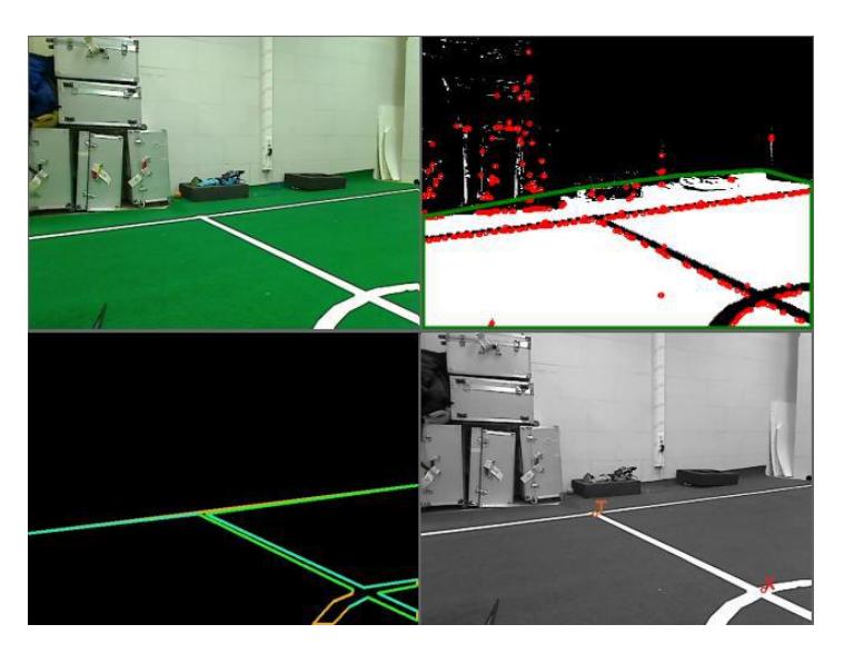 **Figure 5.** Line and field feature detector
