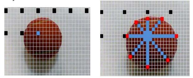 The vision systems use scan-lines to obtain an estimation of ball boundary.