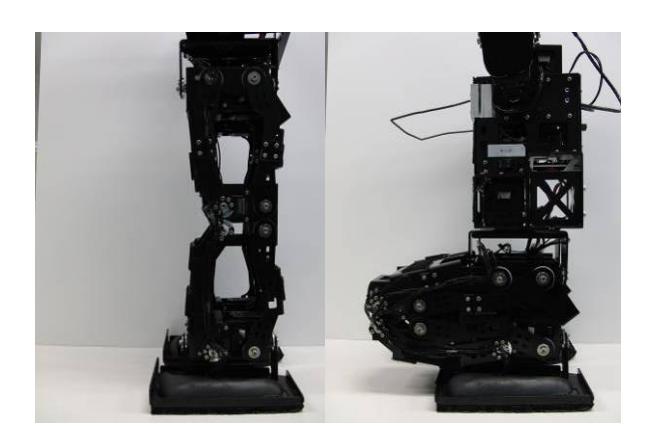 Parallel Mechanism of Foot