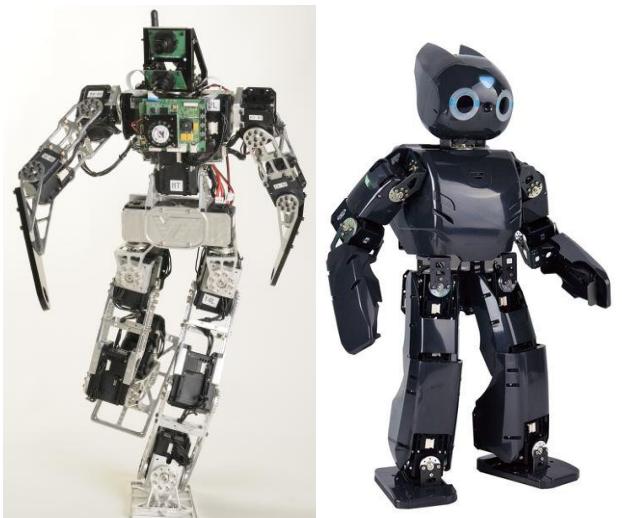 Family of DARwIn Robots