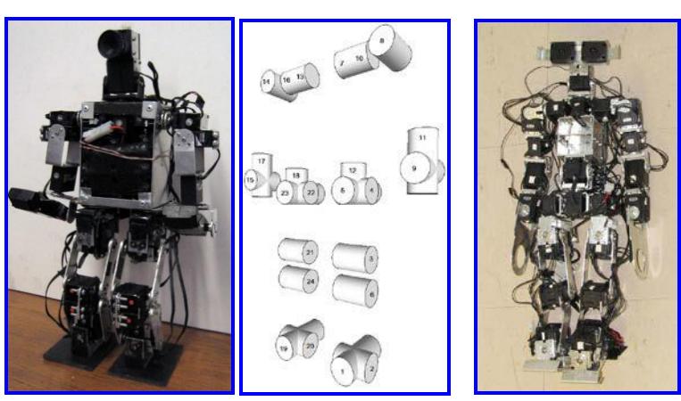 Fig 1. pUNAMoid V3 and AH1N1 prototypes.