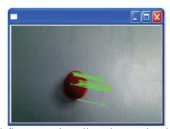 Fig. 5. Optical flow: motion direction and velocity components.