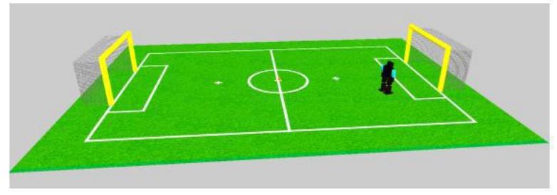 Fig. 1. Match field [1-2].