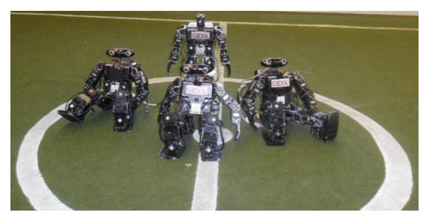 Fig. 11. The team robot EDROM.