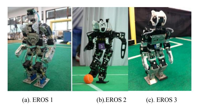 Figure 1. The generation of EROS