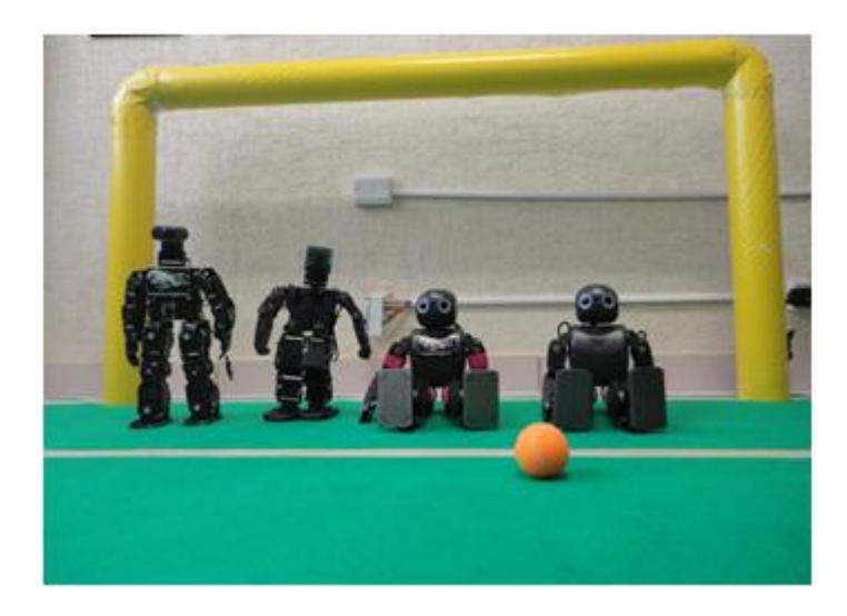 Fig. 1. Team humanoid robots Falconbots.