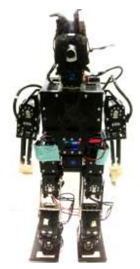 Fig. 3. Photo of the HuroEvolutionJR