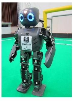 Fig.1. kinematic structure of DARwIn robot.