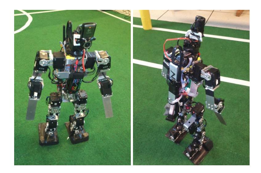 Robot mechanical structure detail
