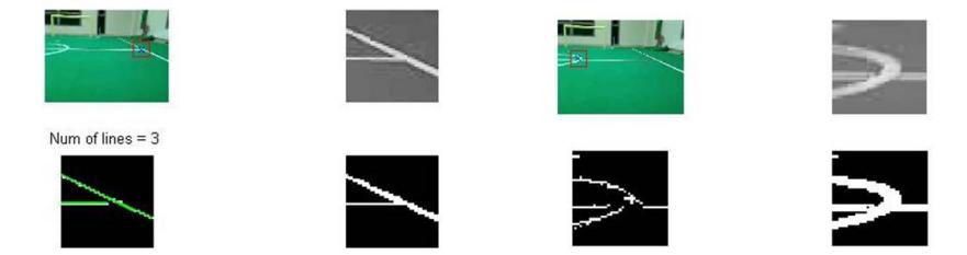 Fig. 4. Cropped images used for classification