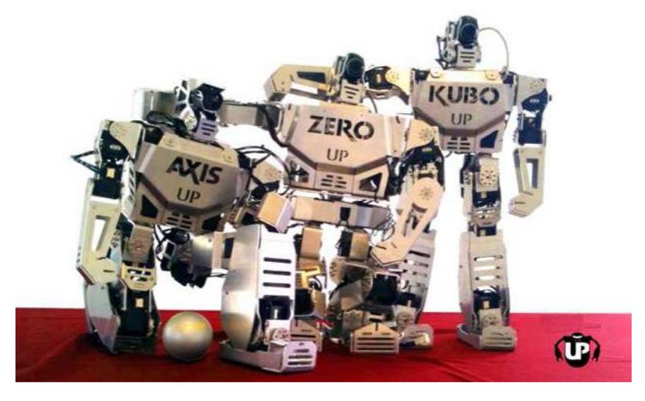 Fig. 1. VATIO-UP Humanoid Robots Team