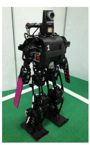 Robot ZJUDancer