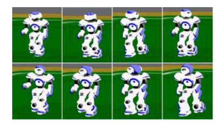 Walking gait screenshots [7]
