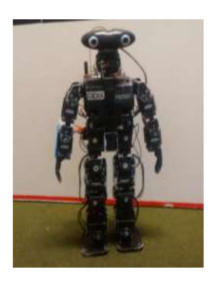 Fig. 1. Built robot.