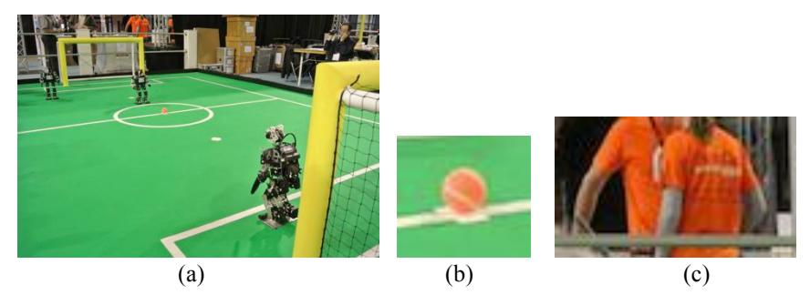 Figure 2. Real condition in the soccer field segmented by color based and the identification object recognition.